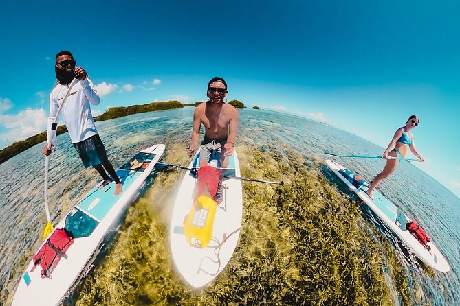 Miami Beach Paddleboard Rental with Instruction - Paddling through canals and past waterfront homes