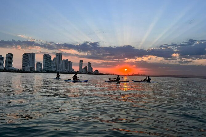 Miami Beach Paddleboard Rental with Instruction - What the $19 price really covers