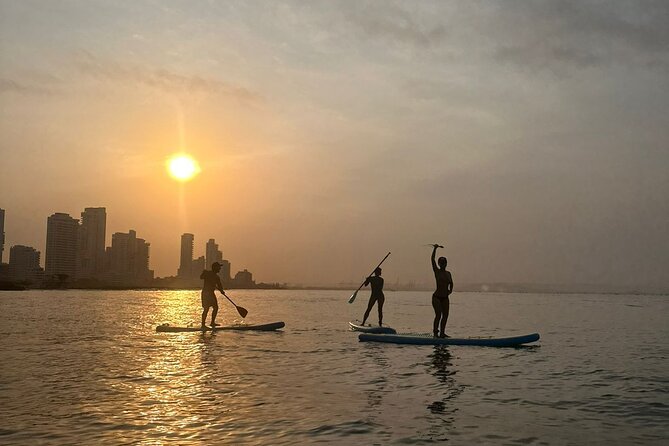 Miami Beach Paddleboard Rental with Instruction - Morning or afternoon: choosing your session