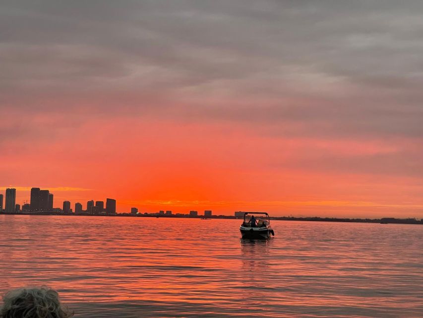 Miami Beach: Spectacular Sandbar & Skyline Boat Tour - Key points to know before booking