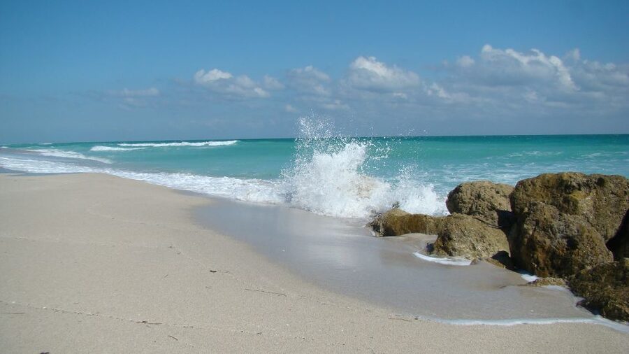 Miami: Beach Wedding or Renewal of Vows - The bouquet, toast, and photo package