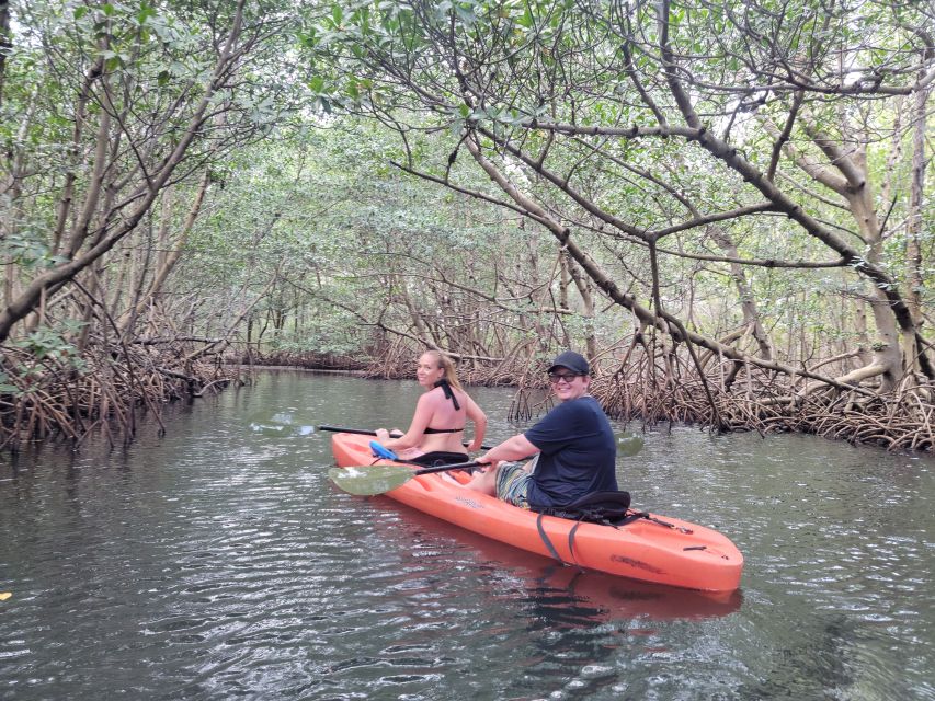Miami: Beginner-Friendly Island Snorkeling by SUP or Kayak - A five-part Miami water outing in 150 minutes