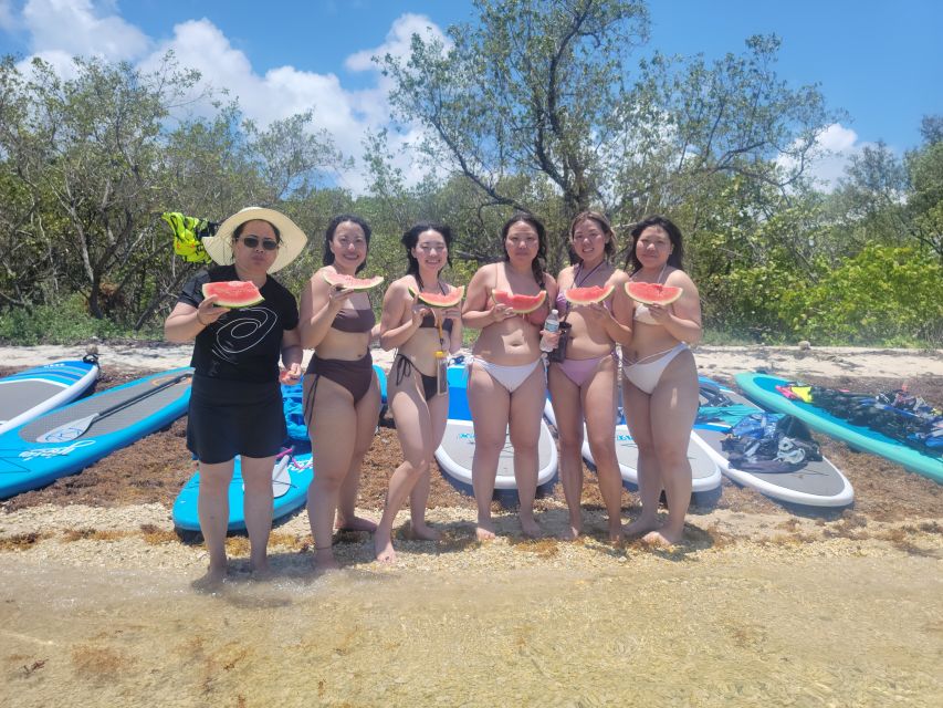 Miami: Beginner-Friendly Island Snorkeling by SUP or Kayak - Who should book this Miami adventure?