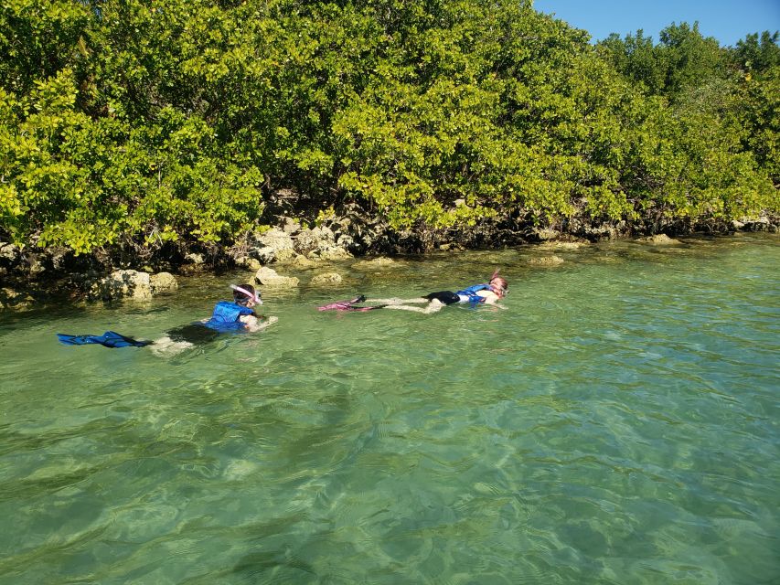 Miami: Beginner-Friendly Island Snorkeling by SUP or Kayak - Mangrove wildlife gives the paddle its character