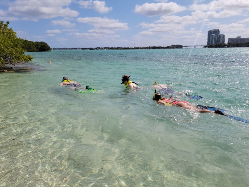 Miami: Beginner-Friendly Island Snorkeling by SUP or Kayak - Paddling back without a race against the clock
