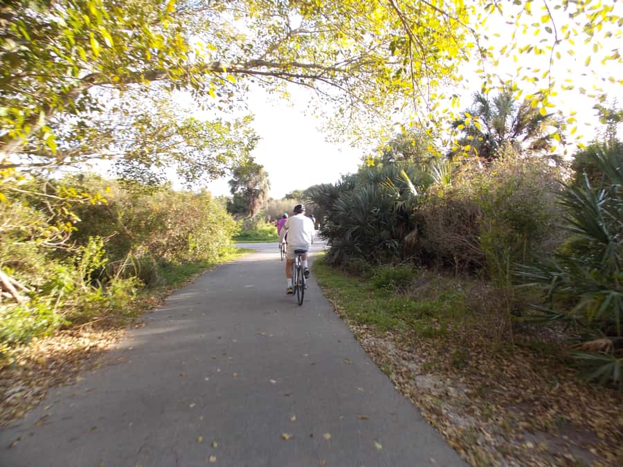 Miami: Bike Rental - Who will like this rental most