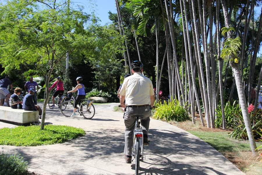 Miami: Bike Rental - How to plan the six-hour sightseeing window