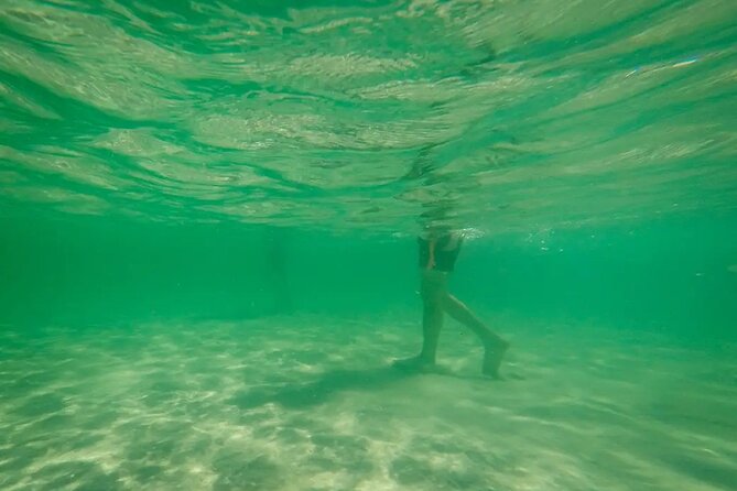 Miami Biscayne Bay Boat Tour with Sandbar Experience. - Guides and the human side of the trip