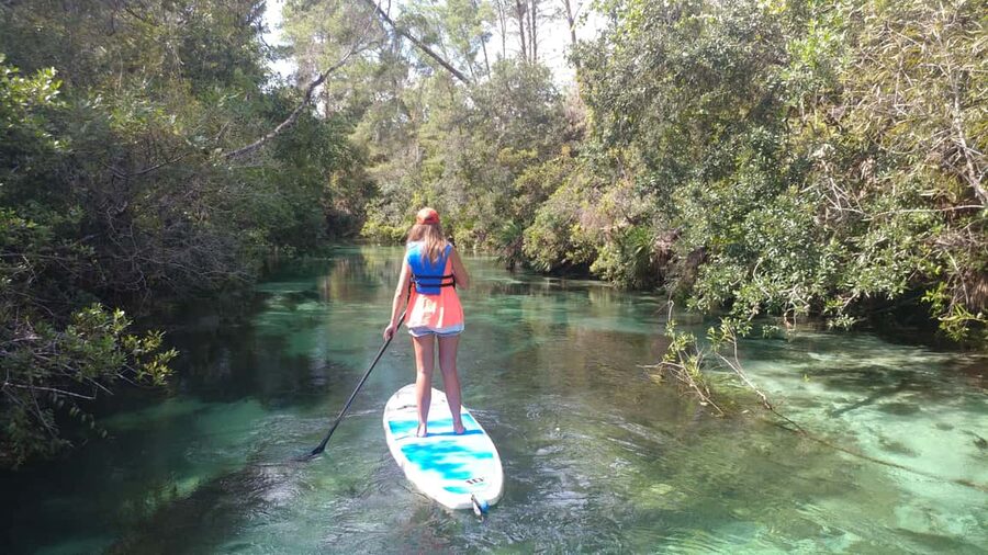 Miami: Biscayne Bay Ultimate Boat Tour with Kayak Experience - Passing Indian Creek Island and Miami’s grand homes