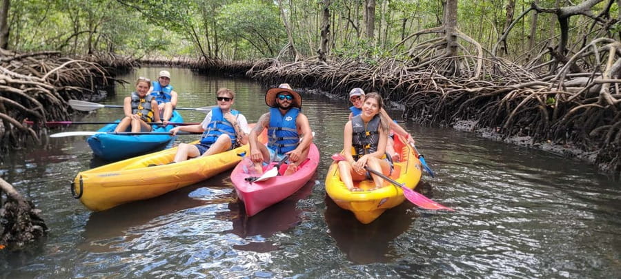 Miami: Biscayne Bay Ultimate Boat Tour with Kayak Experience - Paddling through the mangroves near Sandspur Island