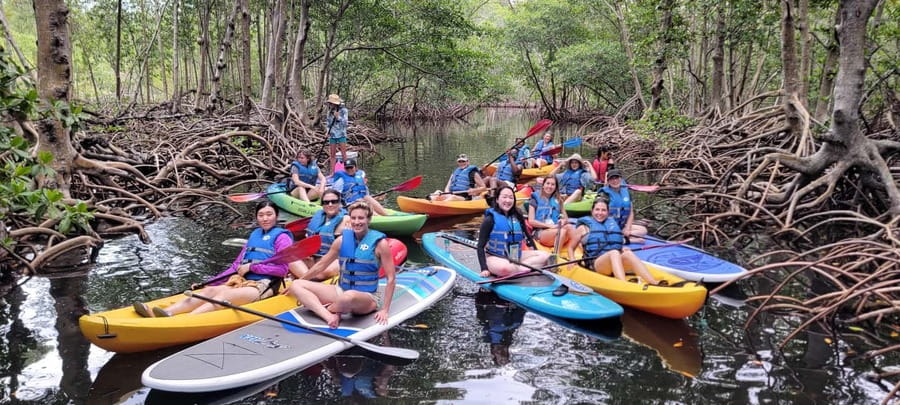 Miami: Biscayne Bay Ultimate Boat Tour with Kayak Experience - Raccoon Island, the tour’s most unusual stop