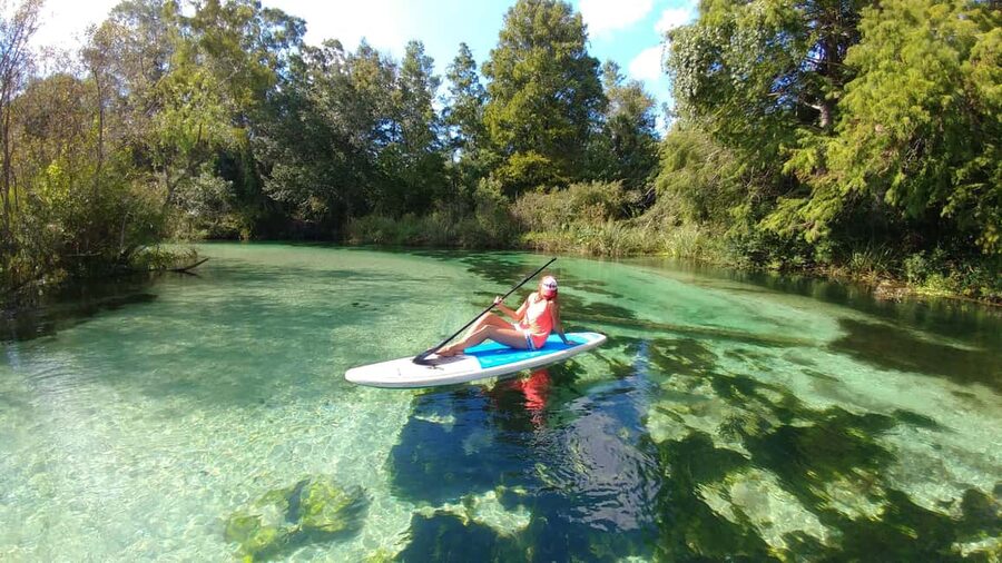 Miami: Biscayne Bay Ultimate Boat Tour with Kayak Experience - Is the $99 price good value?