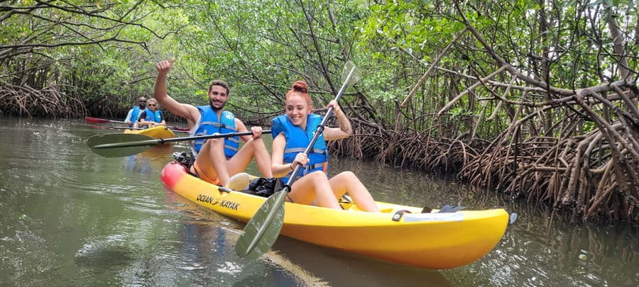 Miami: Biscayne Bay Ultimate Boat Tour with Kayak Experience - Watching birds at Bird Island