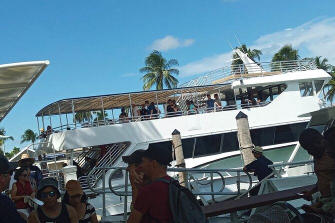 Miami Boat Tour of Celebrity Homes & Miami River Skyline 360 View - Guides, music, and the mood onboard