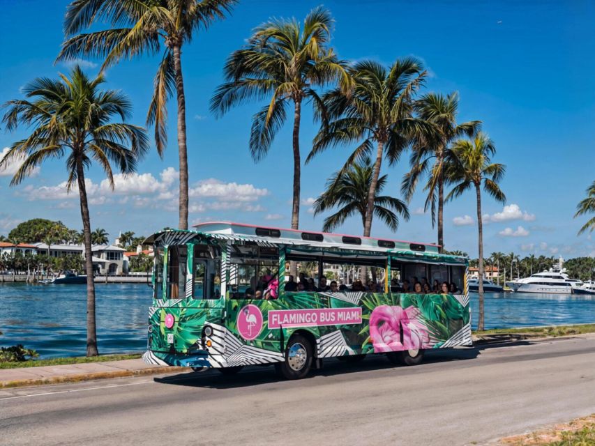 Miami Bus Tour Flamingo Open Air Trolley Bus Tours City Tour - What $59 buys you in practical terms