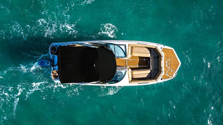 Miami: Celebrity Houses and Star Island Boat Tour - Raccoon Island and the wildlife angle