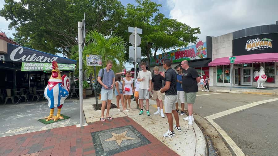 Miami: City Sightseeing and millionaire row boat tour - How the transportation affects the day
