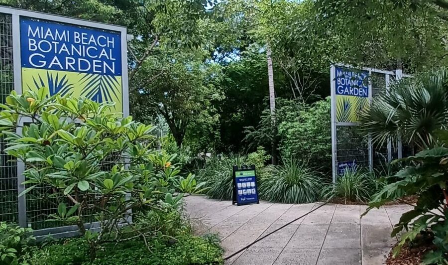 Miami: City Tour & Cruise of Biscayne Bay - Coconut Grove and Coral Gables