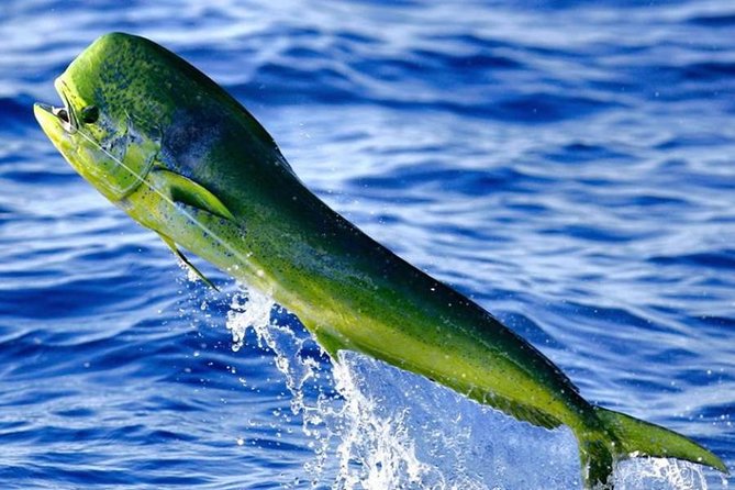 Miami Deep Sea Fishing Charters - Who will enjoy this charter most