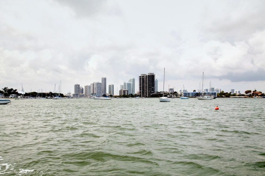 Miami: Duck Tour of Miami and South Beach - The guide makes or breaks the ride