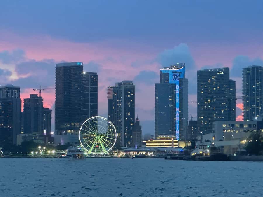 Miami Evening Boat Past Millionaire Homes on Water Taxi - Key points to know before boarding