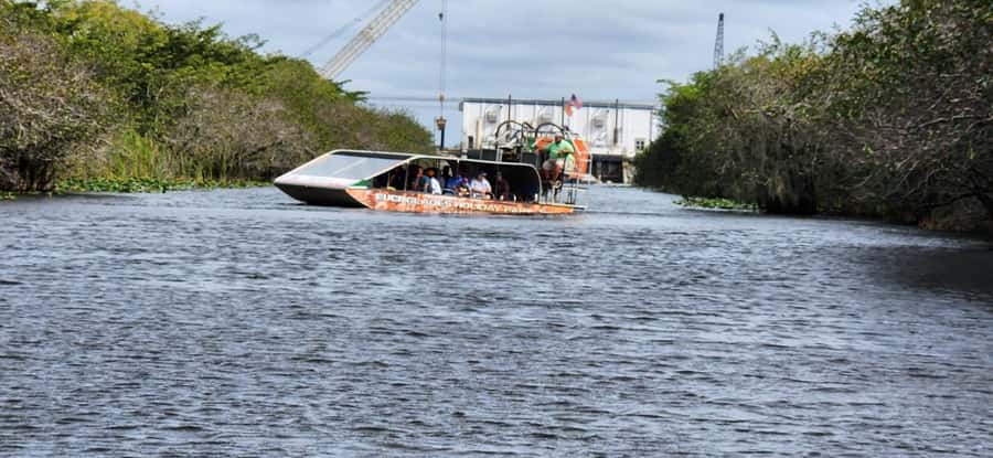 Miami: Everglades Airboat, Gator Encounter & Bus Transfer - Is $57 a fair price?
