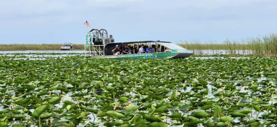 Miami: Everglades Airboat, Gator Encounter & Bus Transfer - Who will enjoy this outing most?