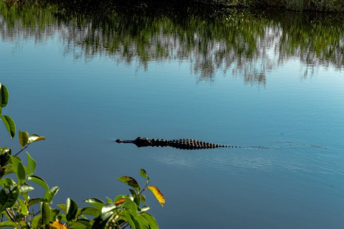 Miami: Everglades Airboat incl. Group Photo - What the Miami pickup adds to your day