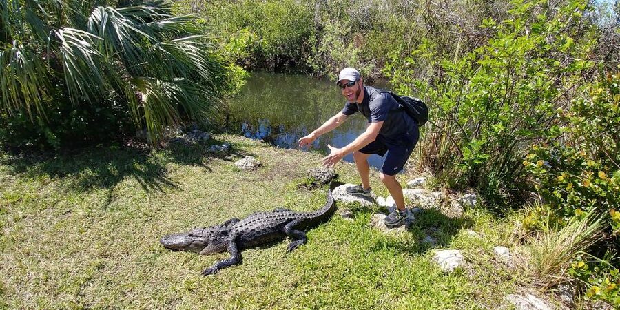 Miami: Everglades Airboat Ride and Tram Tour - A Note About Reliability and Booking Terms