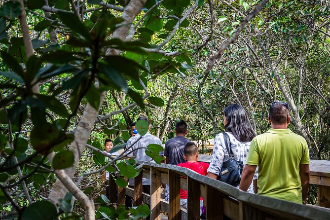 MIAMI: Everglades Airboat, Wildlife Gator Show and Pick-up - Wildlife sightings depend on nature, not a schedule