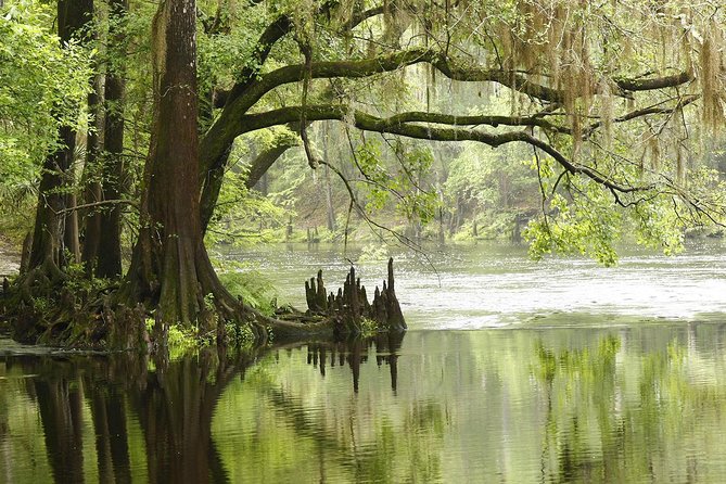MIAMI: Everglades Airboat, Wildlife Gator Show and Pick-up - Group size and the feel of the park