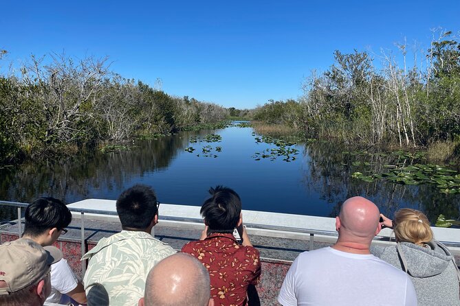 MIAMI: Everglades Airboat, Wildlife Gator Show and Pick-up - What to expect on the covered airboat ride