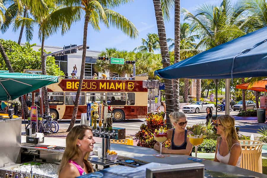 Miami: Everglades Experience, Bay Cruise & Open-Top Bus Tour - Three sides of Miami in one ticket
