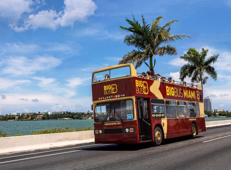 Miami: Everglades Experience, Bay Cruise & Open-Top Bus Tour - Biscayne Bay and Millionaire’s Row