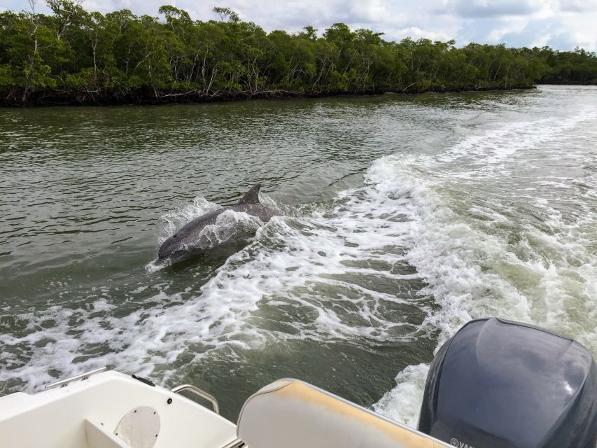 Miami: Everglades Full-Day Tour with 2 Boat Trips and Lunch - Key points at a glance