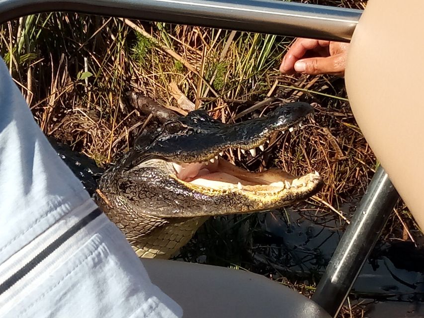 Miami: Everglades Full-Day Tour with 2 Boat Trips and Lunch - A Native American tree island village