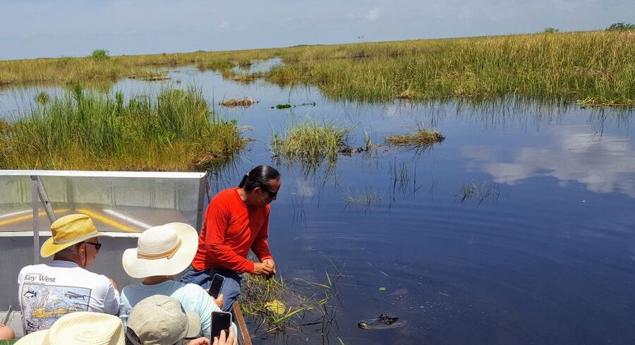 Miami: Everglades Full-Day Tour with 2 Boat Trips and Lunch - Is $295 a fair price?
