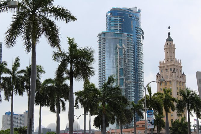 Miami + Everglades in One Perfect Day–small group & pick up - Ten minutes at South Pointe Park
