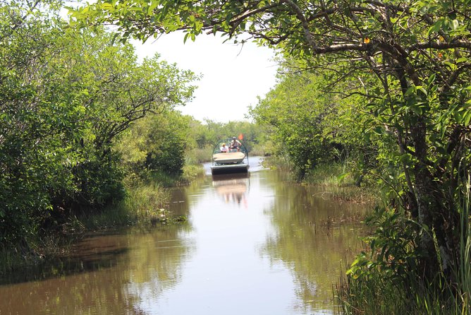 Miami + Everglades in One Perfect Day–small group & pick up - Coral Gables and the city’s polished side