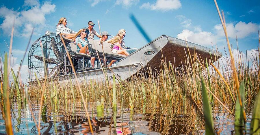 Miami: Everglades National Park Airboat Tour & Wildlife Show - Sawgrass, mangroves, and small hardwood islands