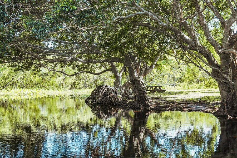 Miami: Everglades National Park Airboat Tour & Wildlife Show - Jaws, food, and the Gator Park stop