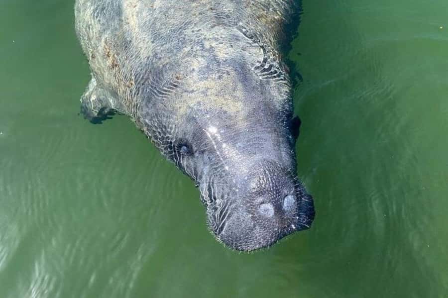 Miami: Everglades National Park Hiking and Kayaking Day Trip - Key points to know before booking