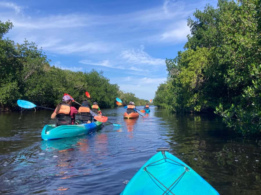 Miami: Everglades National Park Hiking and Kayaking Day Trip - Why this Everglades day trip feels different
