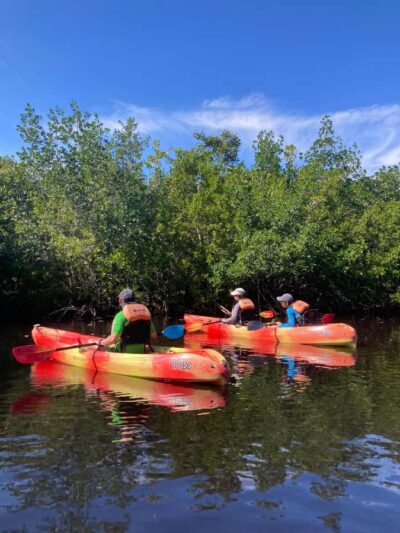 Everglades National Park Hiking and Kayaking Day Trip