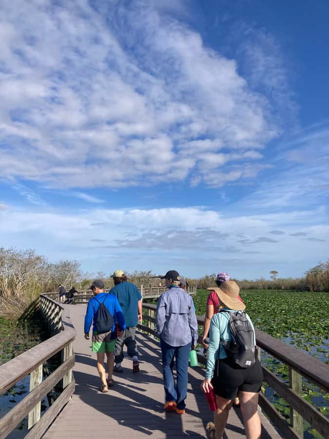 Miami: Everglades National Park Hiking and Kayaking Day Trip - What the $285 price includes