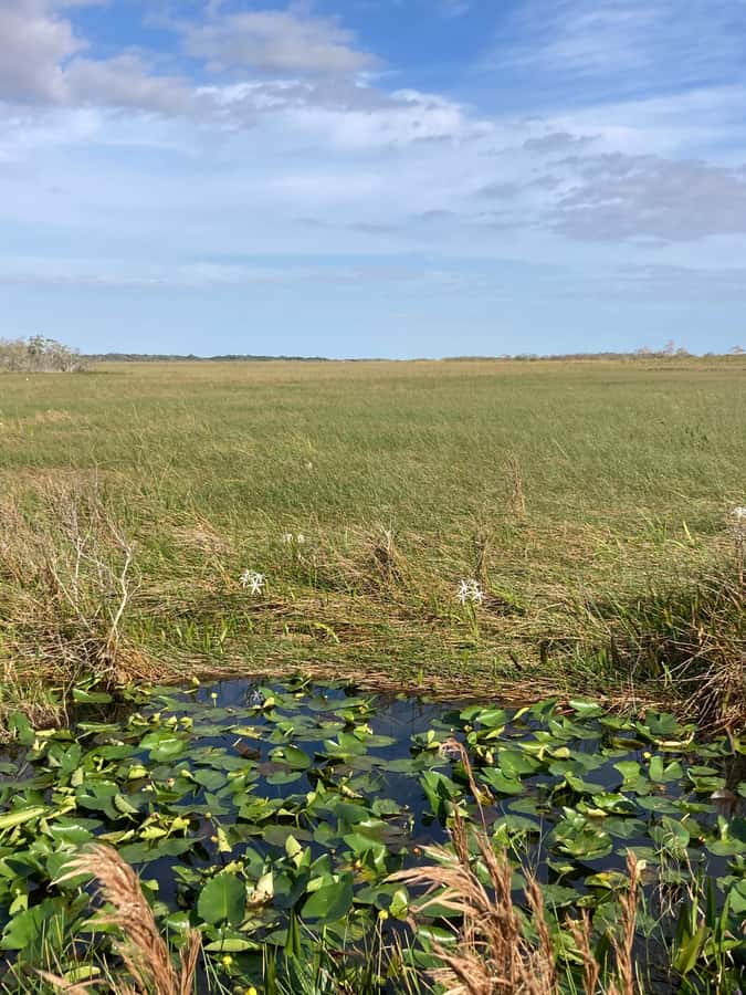 Miami: Everglades National Park Hiking and Kayaking Day Trip - Who will get the most from this outing