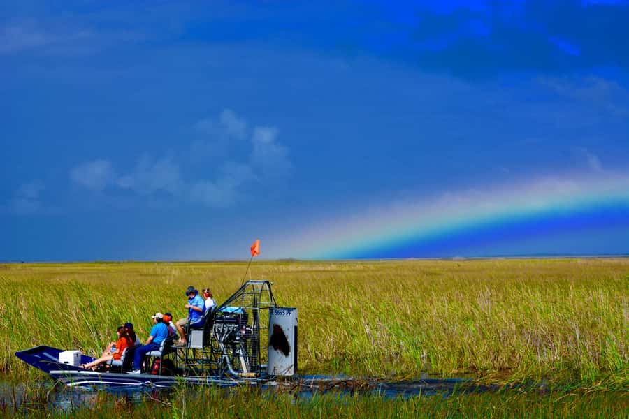 Miami: Everglades River of Grass Small Airboat Wildlife Tour - Why a small airboat changes the Everglades visit