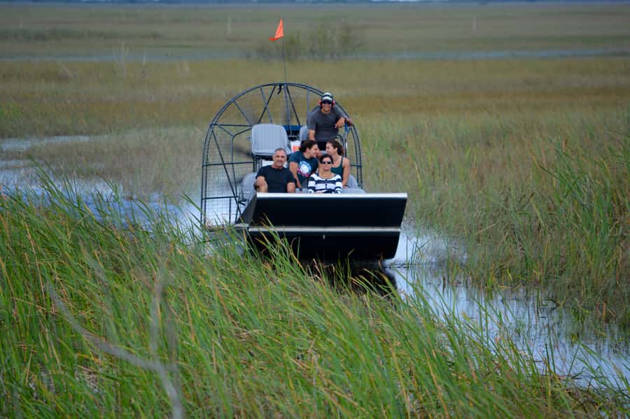 Miami: Everglades River of Grass Small Airboat Wildlife Tour - Boarding a clean, comfortable boat