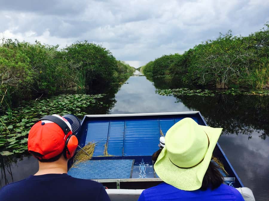 Miami: Everglades River of Grass Small Airboat Wildlife Tour - Wildlife watching among alligators and birds