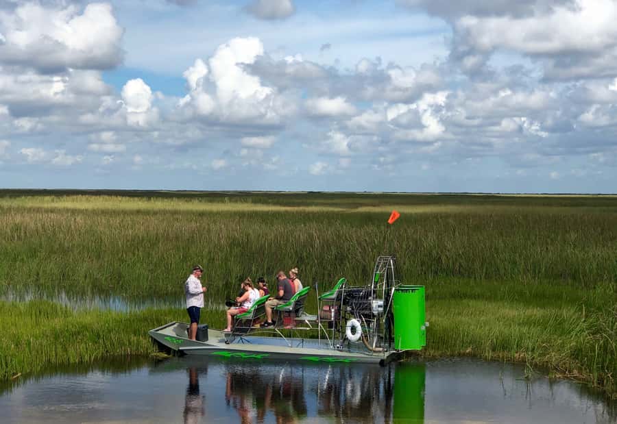 Miami: Everglades River of Grass Small Airboat Wildlife Tour - Learning from a Gladesman and naturalist